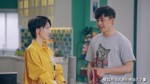 爱情公寓演员表资料,重温经典，揭秘演员阵容背后的故事